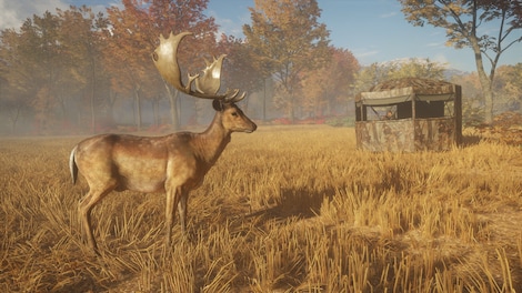 theHunter: Call of the Wild - Tents & Ground Blinds (PC) - Steam Gift - EUROPE - 4