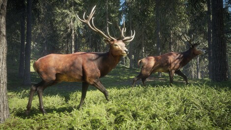 theHunter: Call of the Wild | Ultimate Hunting Bundle (Xbox One) - Xbox Live Key - CANADA - 8