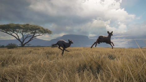 theHunter™: Call of the Wild - Vurhonga Savanna (PC) - Steam Gift - GLOBAL - 9