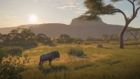 theHunter™: Call of the Wild - Vurhonga Savanna (PC) - Steam Gift - GLOBAL - 11