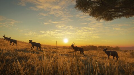 theHunter™: Call of the Wild - Vurhonga Savanna (PC) - Steam Gift - NORTH AMERICA - 0