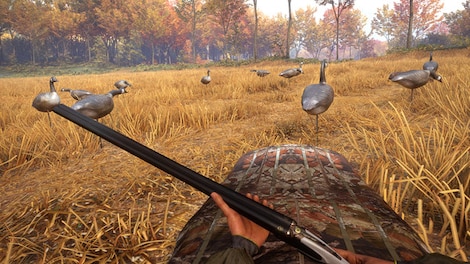 theHunter™: Call of the Wild - Wild Goose Chase Gear (PC) - Steam Key - GLOBAL - 5