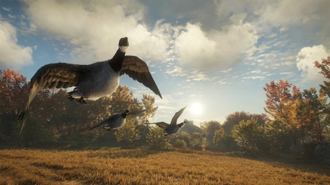 theHunter™: Call of the Wild - Wild Goose Chase Gear (PC) - Steam Key - GLOBAL - 12