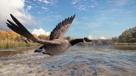theHunter™: Call of the Wild - Wild Goose Chase Gear (PC) - Steam Key - GLOBAL - 8