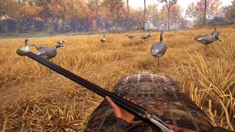 theHunter™: Call of the Wild - Wild Goose Chase Gear Steam Gift NORTH AMERICA - 5