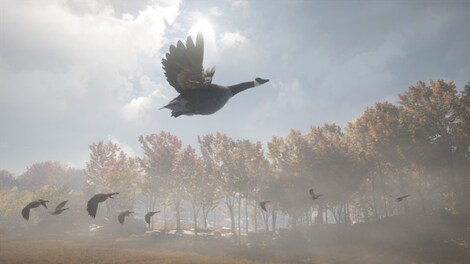 theHunter™: Call of the Wild - Wild Goose Chase Gear Steam Gift NORTH AMERICA - 7