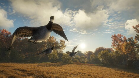 theHunter™: Call of the Wild - Wild Goose Chase Gear Steam Gift NORTH AMERICA - 12