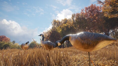 theHunter™: Call of the Wild - Wild Goose Chase Gear Steam Gift NORTH AMERICA - 10
