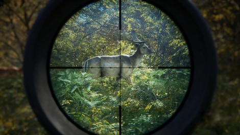 theHunter: Call of the Wild (Xbox One) - Xbox Live Account - GLOBAL - 17
