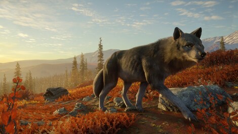 theHunter: Call of the Wild - Yukon Valley (PC) - Steam Gift - EUROPE - 8