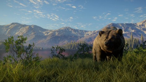 theHunter: Call of the Wild - Yukon Valley (Xbox One) - Xbox Live Key - GLOBAL - 7