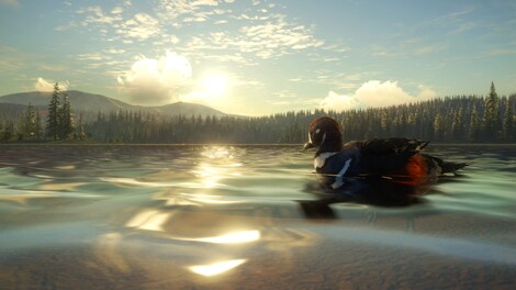 theHunter: Call of the Wild - Yukon Valley (Xbox One) - Xbox Live Key - GLOBAL - 4