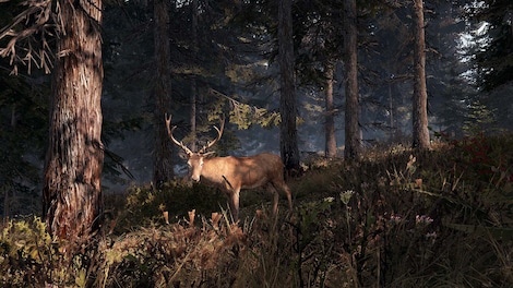 This Land Is My Land (PC) - Steam Account - GLOBAL - 5