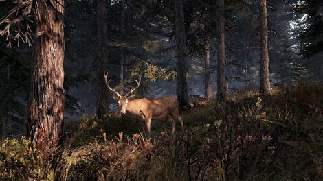 This Land Is My Land (PC) - Steam Gift - NORTH AMERICA - 5