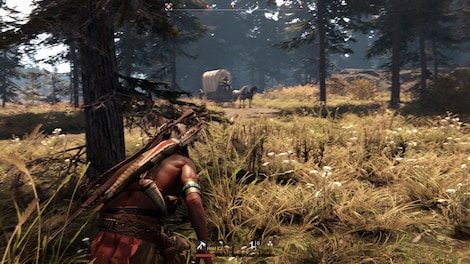 This Land Is My Land (PC) - Steam Gift - NORTH AMERICA - 0