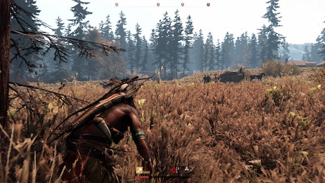 This Land Is My Land - Steam - Key GLOBAL - 12