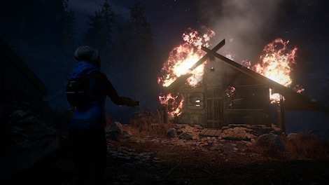 Through the Woods (PC) - Steam Key - GLOBAL - 10