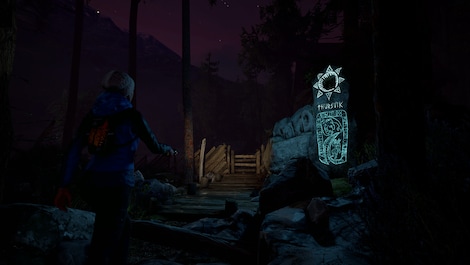 Through the Woods (PC) - Steam Key - GLOBAL - 11