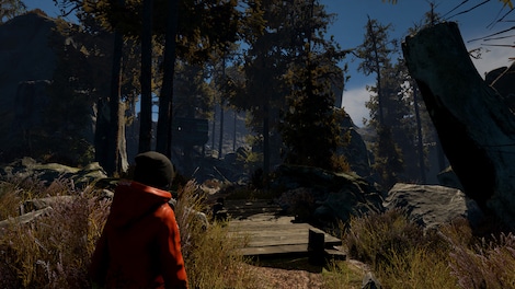 Through the Woods (PC) - Steam Key - GLOBAL - 3