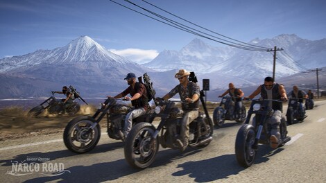 Tom Clancy's Ghost Recon Wildlands - Narco Road Ubisoft Connect Key GLOBAL - 9
