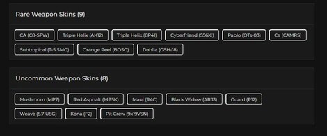 Tom Clancy's Rainbow Six Siege Account 31 Operators + 39 Total Skins + 76 Level + 60 R6 Credits (PC) - Ubisoft Connect Account - GLOBAL - 11