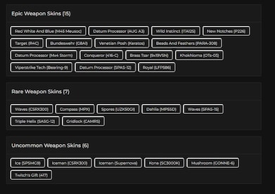 Tom Clancy's Rainbow Six Siege Account 33 Operators + 44 Total Skins + 75 Level + 540 R6 Credits (PC) - Ubisoft Connect Account - GLOBAL - 11