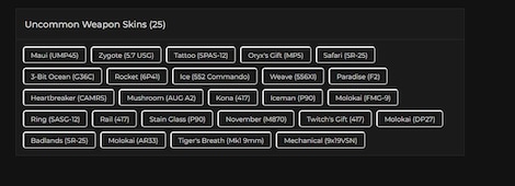 Tom Clancy's Rainbow Six Siege Account 52 Operators + 91 Total Skins + 132 Level + 457 R6 Credits (PC) - Ubisoft Connect Account - GLOBAL - 12