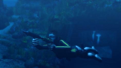 Tomb Raider: Underworld Steam Key CIS - 7