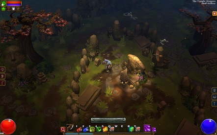 Torchlight II (PC) - Steam Account - GLOBAL - 17