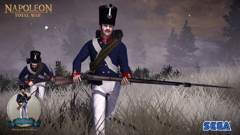 Total War: NAPOLEON - Definitive Edition Steam Key CIS - 3