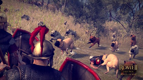 Total War: ROME II - Beasts of War Unit Pack Steam Key CIS - 6