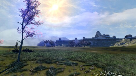 Total War: SHOGUN 2 | Gold Edition (PC) - Steam Key - RU/CIS - 13