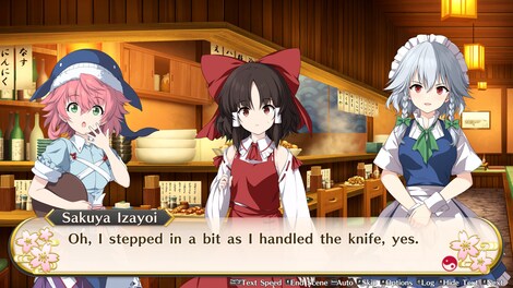 Touhou Genso Wanderer: Foresight (PC) - Steam Account - GLOBAL - 6
