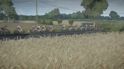 Tour de France 2024 (PC) - Steam Key - GLOBAL - 3
