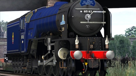 Train Simulator: Class A1 'Tornado' Express Passenger Blue Add-on Livery Steam Key GLOBAL - 6