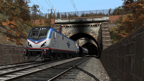 Train Simulator: Northeast Corridor: Washington DC - Baltimore Route Add-On (PC) - Steam Gift - JAPAN - 0