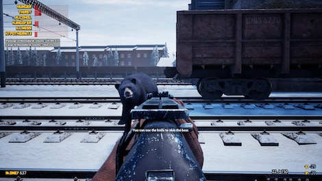 Trans-Siberian Railway Simulator (PC) - Steam Account - GLOBAL - 6