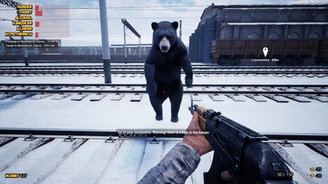 Trans-Siberian Railway Simulator (PC) - Steam Gift - EUROPE - 7