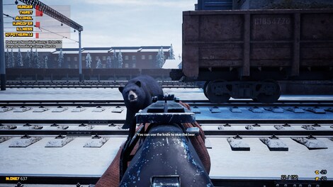 Trans-Siberian Railway Simulator (PC) - Steam Gift - EUROPE - 6