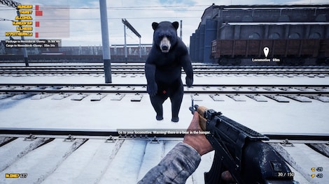 Trans-Siberian Railway Simulator (PC) - Steam Key - GLOBAL - 7