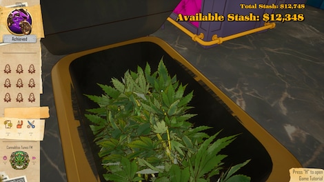 Trim For Your Dream (PC) - Steam Key - GLOBAL - 3