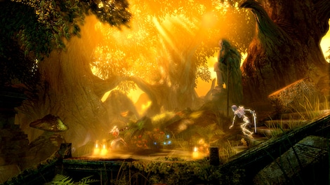 Trine Enchanted Edition (PC) - Steam Key - GLOBAL - 25