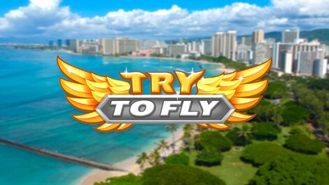 Try to Fly (PC) - Steam Key - EUROPE - 0