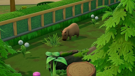 Two Point Museum: Zooseum (PC) - Steam Key - GLOBAL - 9