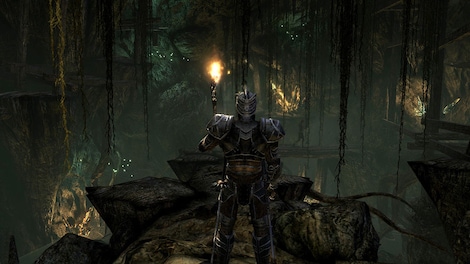 Two Worlds 2 Steam Key GLOBAL - 11
