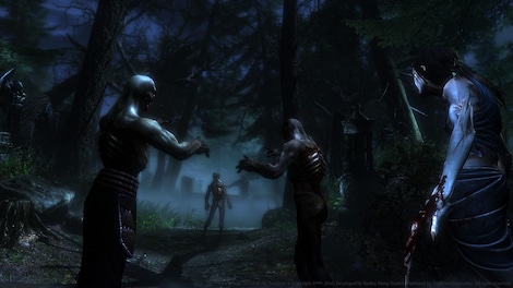 Two Worlds II - Call of the Tenebrae DLC Steam Key GLOBAL - 6