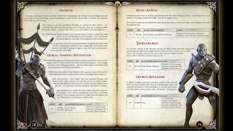 Two Worlds II - Pirates of the Flying Fortress Strategy Guide Steam Gift GLOBAL - 3