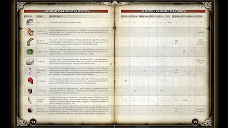 Two Worlds II - Pirates of the Flying Fortress Strategy Guide Steam Key GLOBAL - 4