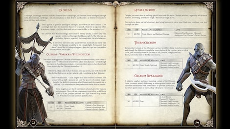 Two Worlds II - Pirates of the Flying Fortress Strategy Guide Steam Key GLOBAL - 3