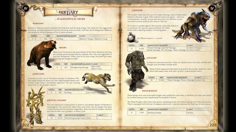 Two Worlds II Strategy Guide Steam Key GLOBAL - 6